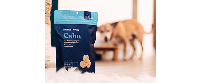 Honest Paws Profile